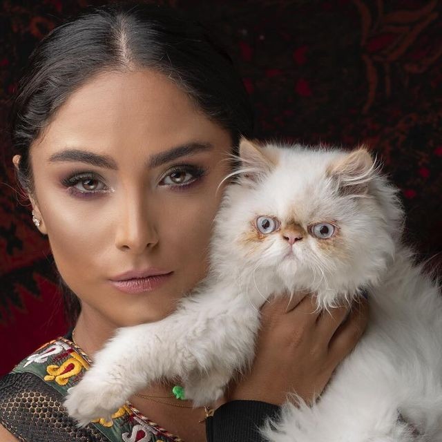 عکس پروفایل دخترانه مغرور با گربه