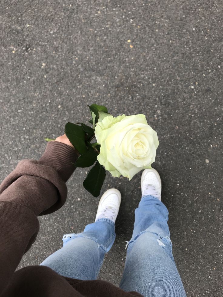 عکس دست دختر با دسته گل رز سفید