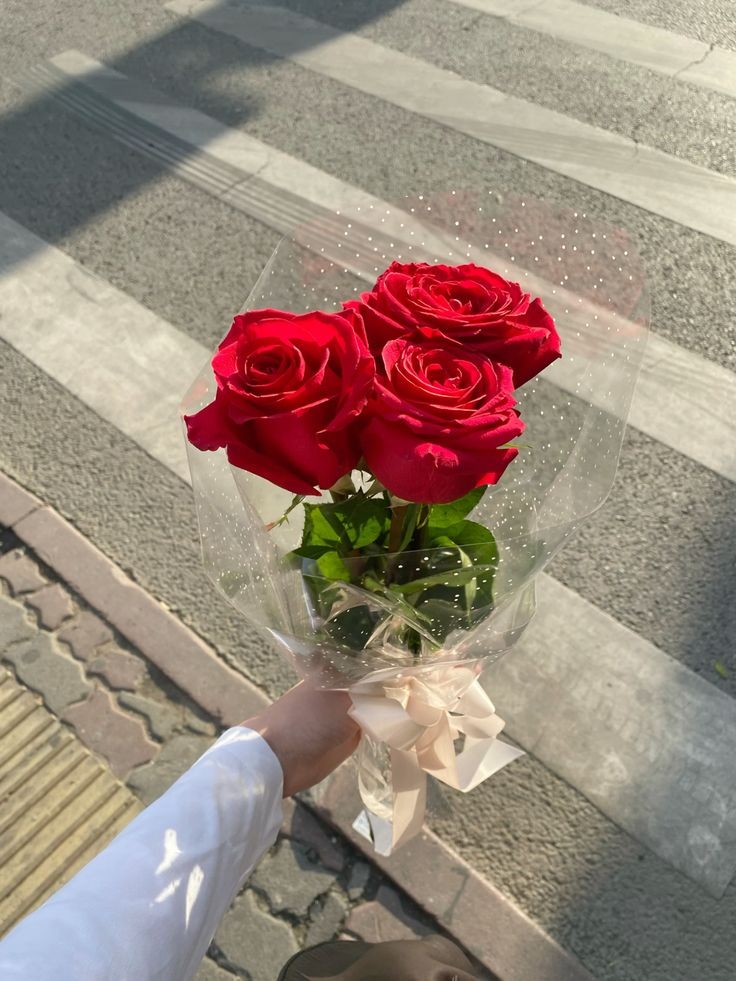 عکس دست دختر با گل رز در خیابان