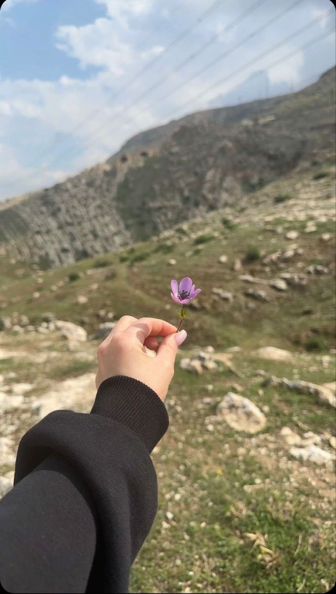 عکس دست دختر با گل در طبیعت