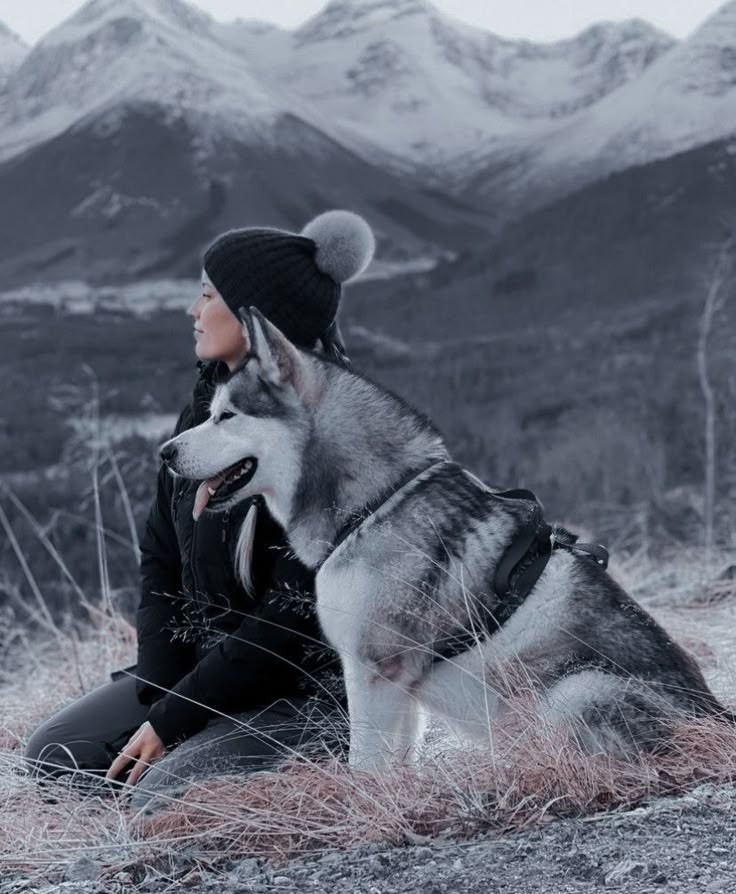 عکس سگ با دختر در کوهستان برای پروفایل