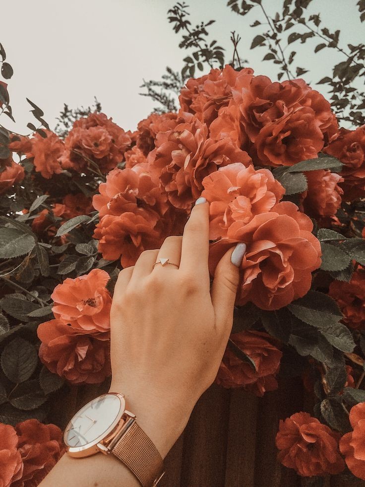 عکس دست دختر با گل های نارنجی