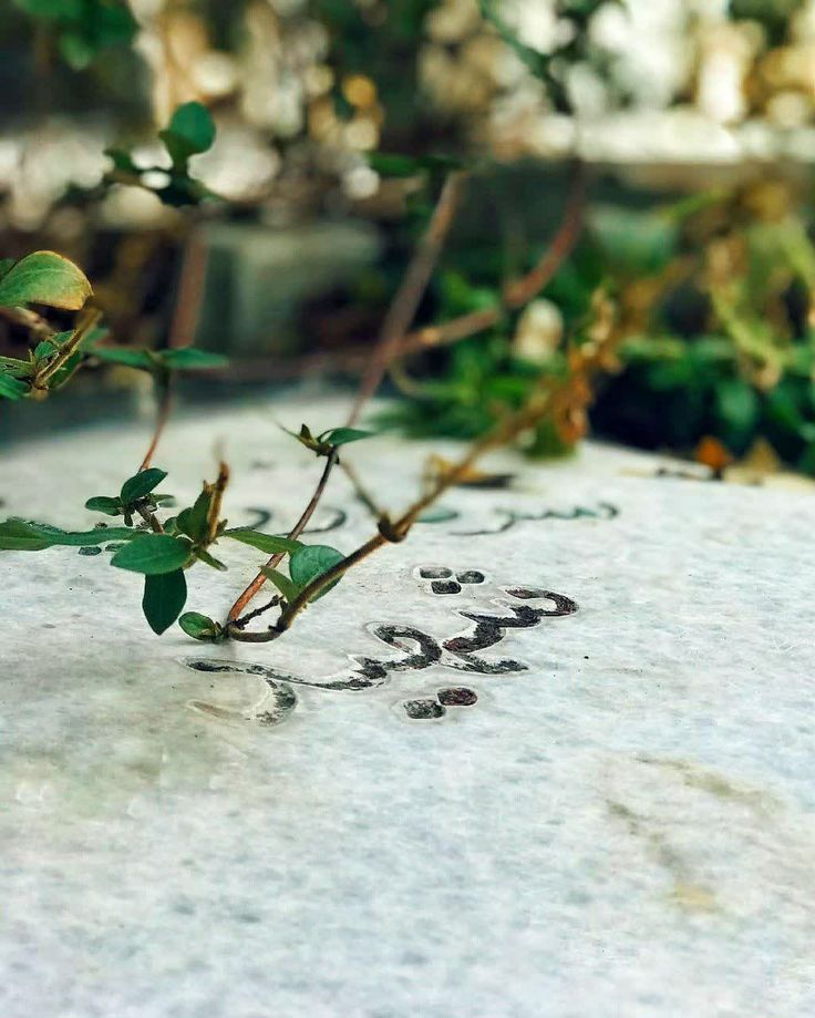 عکس پروفایل مذهبی پسرانه برای شهدا